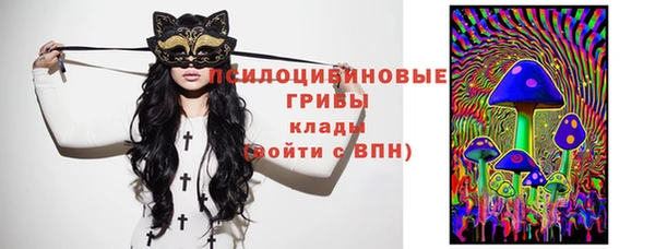 бошки Алзамай