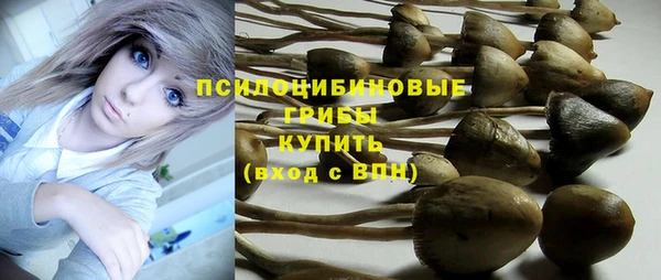 ПСИЛОЦИБИНОВЫЕ ГРИБЫ Алексеевка