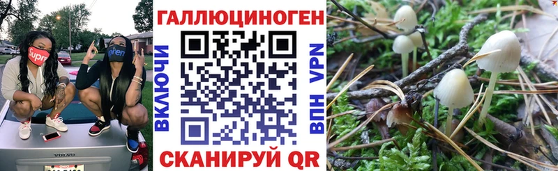 Псилоцибиновые грибы GOLDEN TEACHER  Олонец 