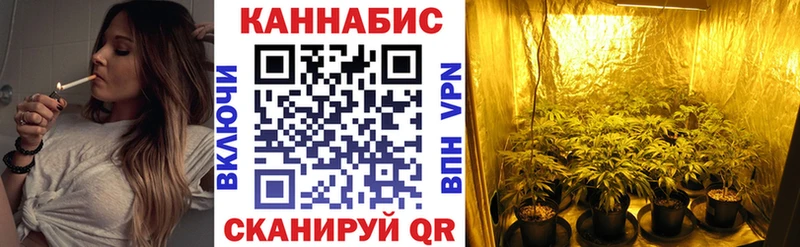 Бошки марихуана конопля  где купить наркоту  Олонец 